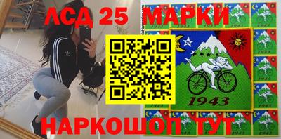 шишки Апшеронск