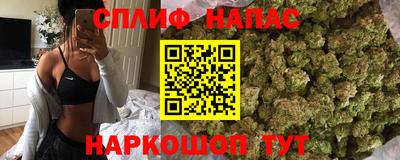 шишки Апшеронск
