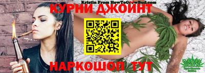 шишки Апшеронск