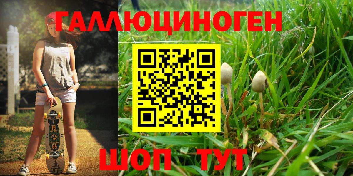 Аша  Псилоцибиновые грибы мухоморы  Вход с VPN 