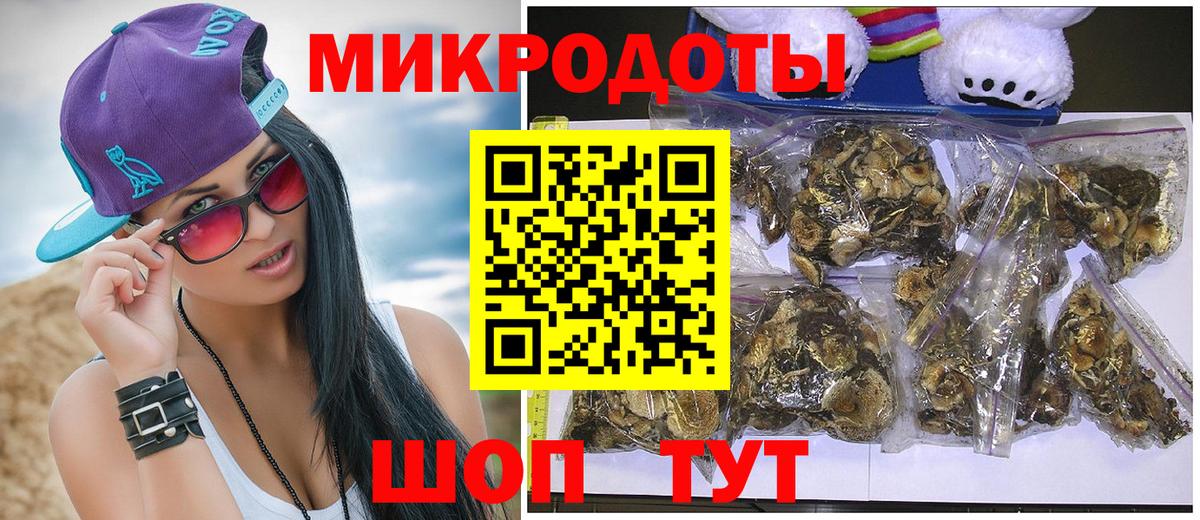 Псилоцибиновые грибы Psilocybine cubensis Аша